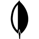 Mongodb